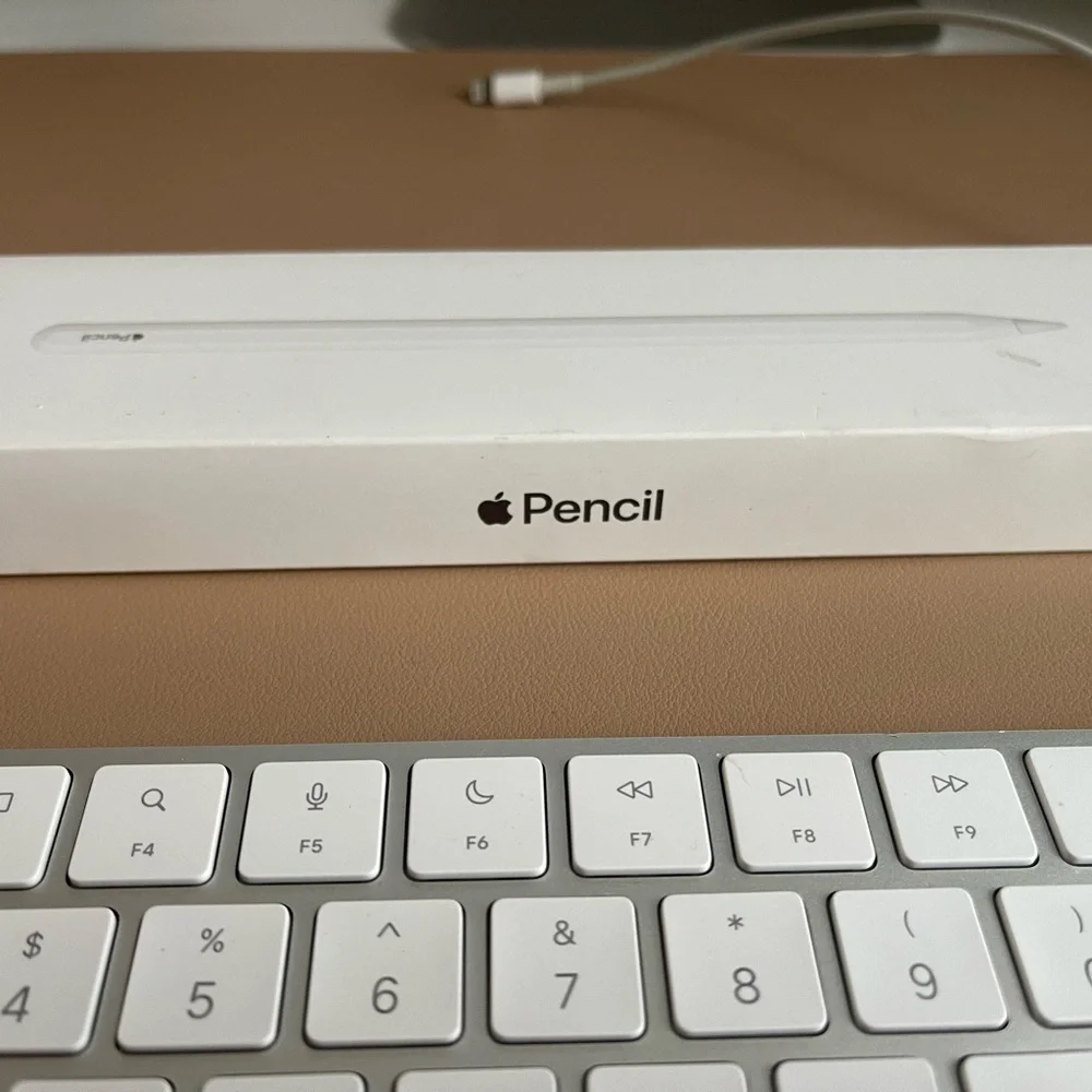 Apple Pencil - used once